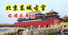 抠肏阴道中国北京-东城古宫旅游风景区